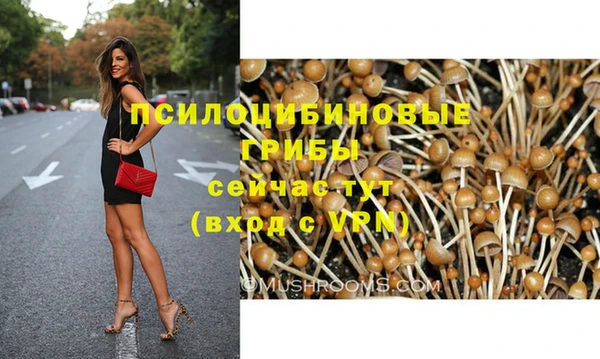 индика Ишимбай