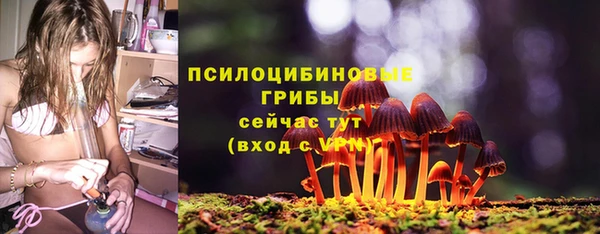 гашик Пролетарск
